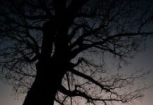 Chuẩn bị cho người trẻ bước vào ĐSHN: Một tình yêu đúng nghĩa