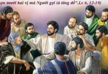 Người Tông đồ là ai? Họ như thế nào? (Thứ Ba Tuần 23 Thường niên)