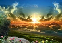 Tạo vật phản ánh sự công chính của Thiên Chúa