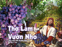 Lời nguyện tín hữu – Chúa Nhật 25 Thường niên_A