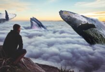 Biết Học Cách Chấp Nhận Bản Thân