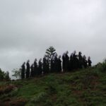 Nhìn Lên Đấng Chịu–Đóng–Đinh