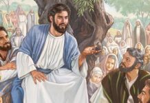 Các bài suy niệm Chúa Nhật 23 Thường Niên Năm A