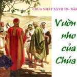 Các bài suy niệm Chúa Nhật 27 Thường Niên Năm A