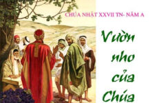 Các bài suy niệm Chúa Nhật 27 Thường Niên Năm A
