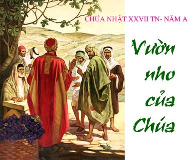 Các bài suy niệm Chúa Nhật 27 Thường Niên Năm A