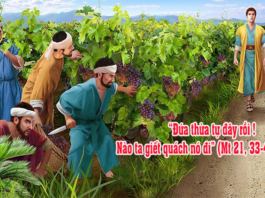 Lời nguyện tín hữu – Chúa Nhật 27 Thường niên_A