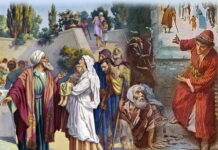 Các bài suy niệm Chúa Nhật 28 Thường Niên Năm A