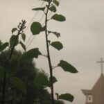 Một ngày đàng của gia đình Học viện