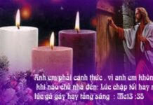 Các Bài Suy Niệm Chúa Nhật 1 Mùa Vọng Năm B