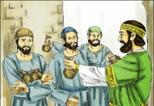 Suy niệm Chúa Nhật 33 Thường Niên Năm A và Lễ Kính Các Thánh Tử Đạo Việt Nam