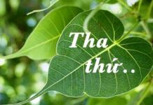 Ngộ nhận tha thứ