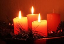 Chúa Nhật Hoa Hồng