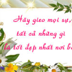 Các Thánh Trong đời