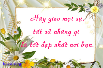 Các Thánh Trong đời