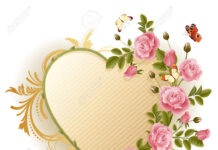 Kích thước trái tim chúng ta