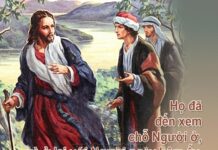 Các bài suy niệm Chúa Nhật 2 Thường niên Năm B