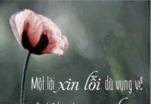 Xin lỗi tình yêu