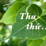 Tha thứ là dấu chỉ yêu thương