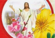 Các bài suy niệm Xuân Mậu Tuất_2018 (Trầm Thiên Thu)