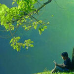 Bờ đá tĩnh lặng