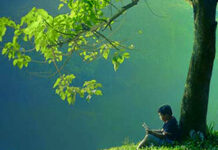 Bờ đá tĩnh lặng