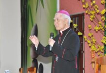 Uỷ ban Giáo dục Công giáo / HĐGMVN: Thư gửi các sinh viên, học sinh Công giáo nhân dịp Tết Nguyên đán Mậu Tuất – 2018