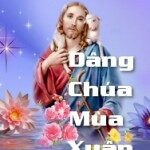 Tri ân trong Mùa Xuân