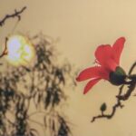 Mùa Chay-Mùa làm việc thiện