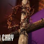 Suy niệm Mùa Chay