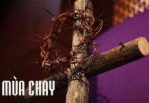 12 điều nên làm trong Mùa chay