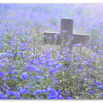 40 lời nguyện Mùa Chay – mỗi ngày một lời nguyện