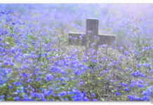 40 lời nguyện Mùa Chay – mỗi ngày một lời nguyện