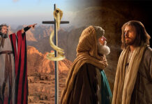 Các bài suy niệm Chúa Nhật 4 Mùa Chay Năm B