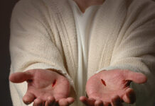 Chuyện Bác Tôma – Chuyện cuộc đời