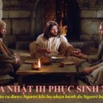 Lời nguyện tín hữu – Chúa Nhật 3 Phục Sinh_B