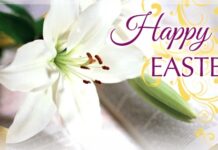 The Call For Love In Loneliness