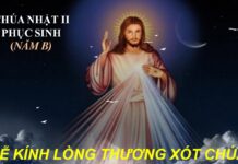 Các bài suy niệm Chúa Nhật 2 Phục sinh Năm B (Kính Lòng Thương Xót Chúa)