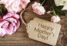 Gửi Anh Hai – “Trái Tim Người Mẹ”