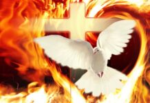 Lời nguyện tín hữu – Lễ Chúa Thánh Thần Hiện Xuống_B