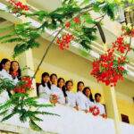 Tuổi Phượng Hồng