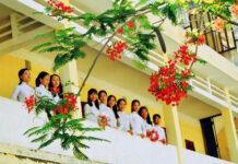 Tuổi Phượng Hồng