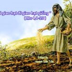 Lời nguyện tín hữu – Chúa Nhật 11 Thường niên_B