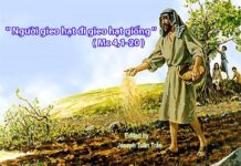 Vui học Thánh kinh – Chúa nhật 11 Thường niên_B