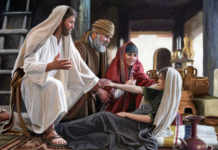 Các bài suy niệm Chúa Nhật 13 Thường Niên Năm B