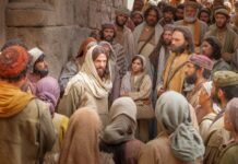 Các bài suy niệm Chúa Nhật 10 Thường niên _B