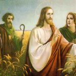 Các bài suy niệm Chúa Nhật 11 Thường Niên_ B