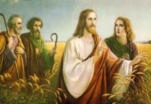 Các bài suy niệm Chúa Nhật 11 Thường Niên_ B