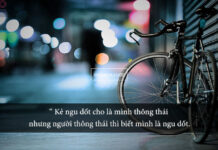 Người thông minh không chỉ trích người ngu dốt