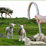 Ân huệ và thập giá trong đời sống cộng đoàn